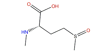 (S)-4-Methane sulfinyl-2-methylamino-butanoic acid